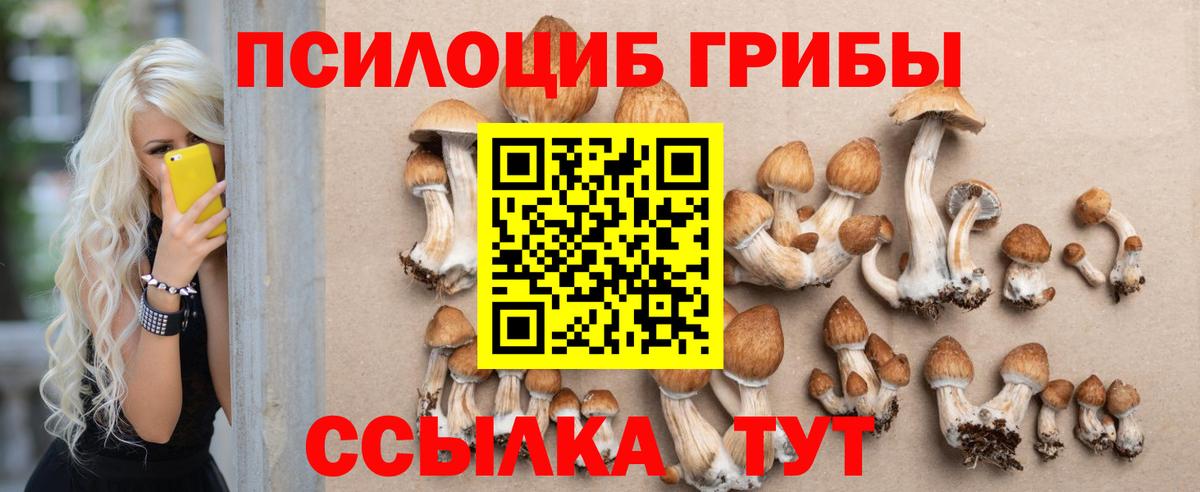 Псилоцибиновые грибы Psilocybine cubensis Кушва
