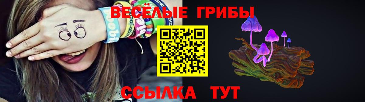Кушва  где можно купить наркотик  Вход с VPN  Псилоцибиновые грибы ЛСД 
